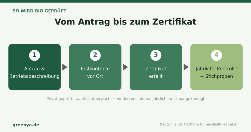 Ablauf-Infografik Bio-Kontrolle in vier Schritten: Antrag und Betriebsbeschreibung, Erstkontrolle vor Ort, Zertifikat, jährliche Kontrolle mit Stichproben. Privat geprüft, staatlich überwacht.