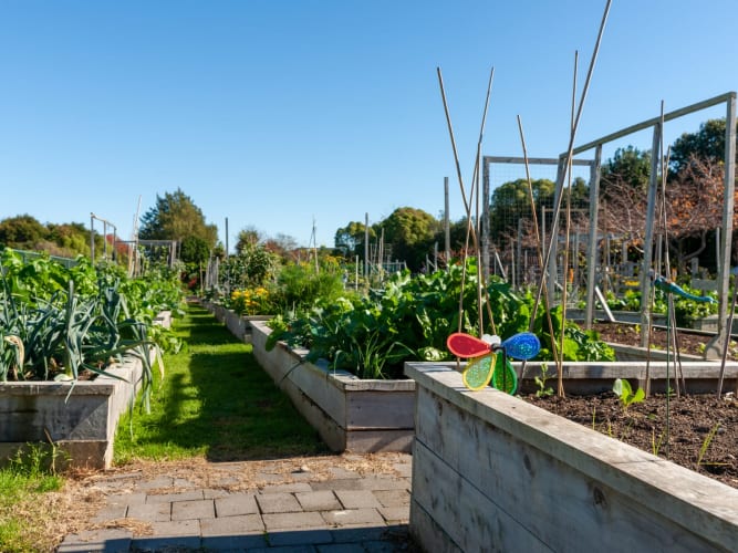 Gartenparzellen mit kleinen, bunten Vogelscheuchen in städtischen Gemeinschaftsgärten