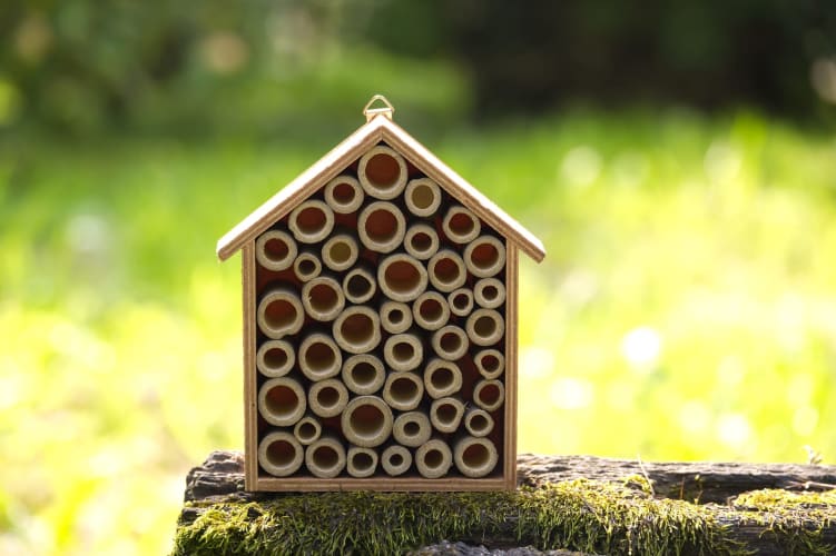 Ein hölzernes Bienenhotel mit Bambusröhren null