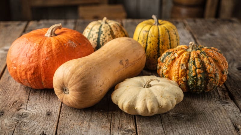 Verschiedene Kürbissorten auf einem Holztisch: Hokkaido, Butternut, Patisson und gestreifte Speisekürbisse Symbolbild, KI-generiert (greenya)