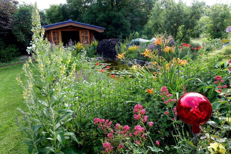 bunter Blumengarten mit Gartenteich, Weilerswist, Nordrhein-Westfalen, Deutschland null