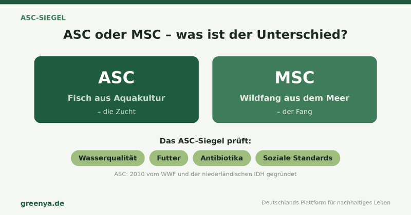 Vergleichsgrafik ASC und MSC: ASC kennzeichnet Fisch aus Aquakultur (Zucht), MSC den Wildfang aus dem Meer. Das ASC-Siegel prüft Wasserqualität, Futter, Antibiotika und soziale Standards; 2010 vom WWF und der niederländischen IDH gegründet.