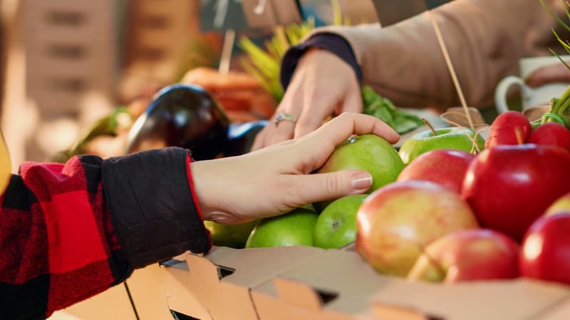 Hände wählen verschiedene Apfelsorten an einem Marktstand – Sortenvielfalt unterstützt die genetische Vielfalt unserer Nutzpflanzen Wer beim Einkauf bewusst zu vielfältigen Sorten greift, unterstützt direkt jene Anbauformen, die Biodiversität fördern.