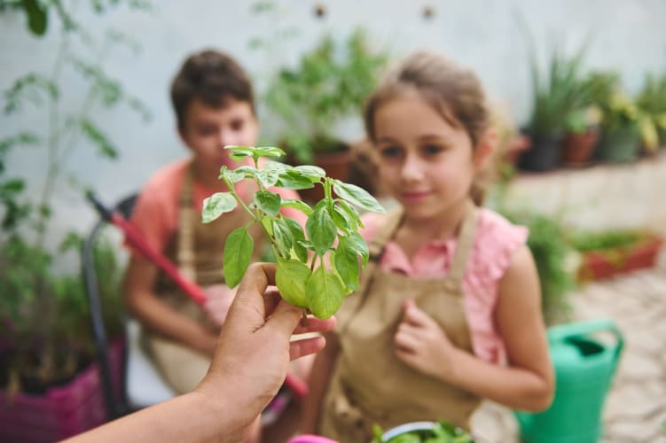 Kinder lernen im Garten hinter dem Haus das Gärtnern und beschäftigen sich dabei mit einer Pflanze.