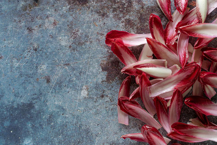 Rot-weisse Radicchio Blätter auf Betonboden null