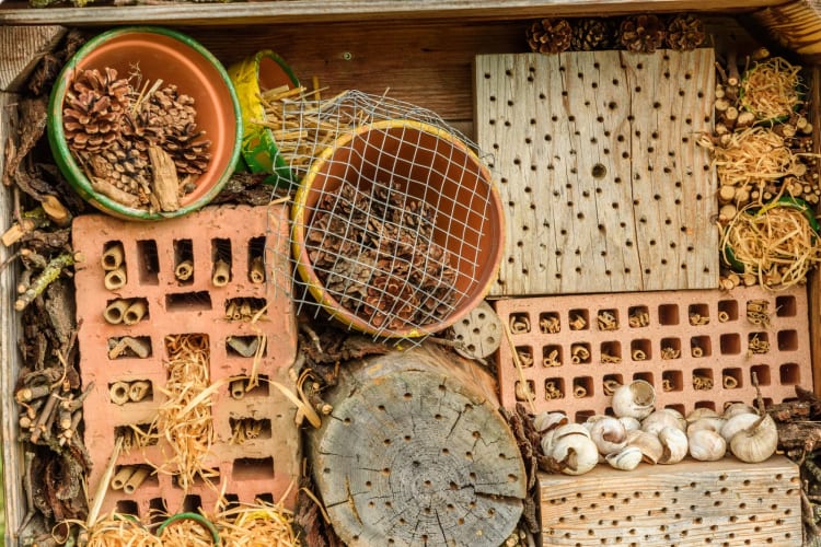 Nahaufnahme eines Insektenhotels, eines Unterschlupfs für Insekten, Kanton Thurgau, Schweiz
