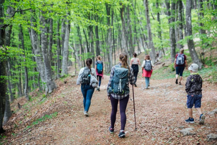 Eine Gruppe von Menschen, die in der Natur durch die Wälder wandern