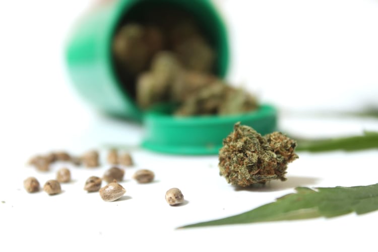 Legale Marihuana-Knospen und CBD-Hanfblüten null
