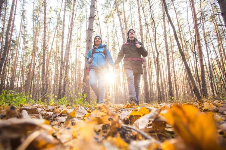 Ein Touristenpaar wandert im Wald. null