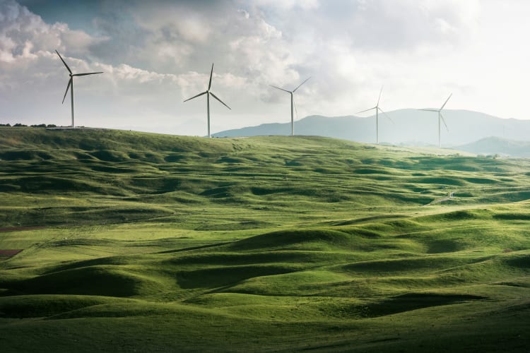 Windräder auf grüner Wiese Appolinary Kalashnikov auf Unsplash