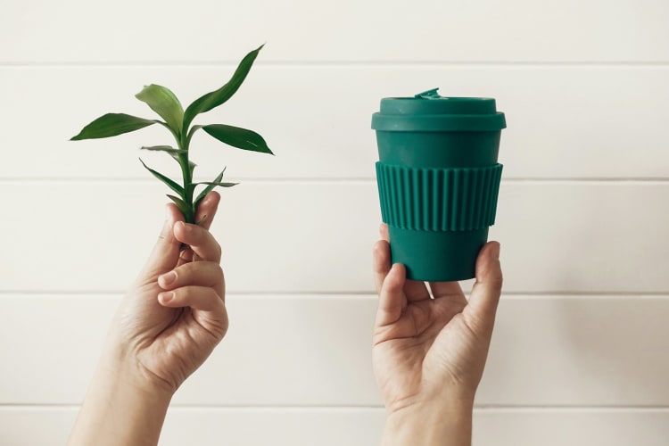 Stilvolle, wiederverwendbare Öko-Kaffeetasse aus natürlicher Bambusfaser mit grünen Bambusblättern auf weißem Holzhintergrund. Green Cup – Die nachhaltige Alternative zu Einwegplastik. null