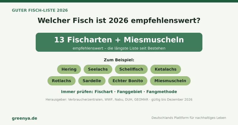 Infografik Guter Fisch-Liste 2026: 13 Fischarten plus Miesmuscheln empfehlenswert, darunter Hering, Seelachs, Schellfisch, Ketalachs, Rotlachs und Sardelle. Immer prüfen: Fischart, Fanggebiet, Fangmethode. Gültig bis Dezember 2026.