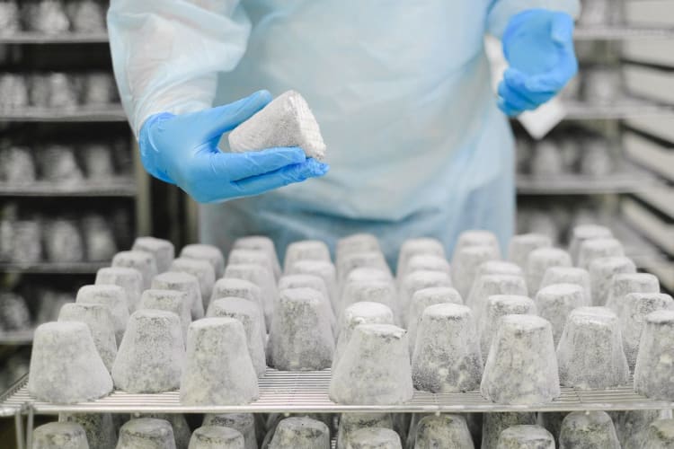 Nahaufnahme eines Arbeiters, der Käse in einer Produktionsstätte untersucht.