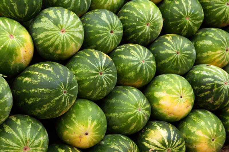 gestapelte Wassermelonen