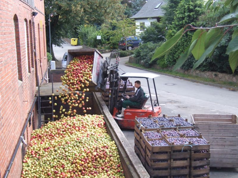 Äpfel werden in das Apfelsilo verladen und frische Pflaumen stehen ebenfalls schon bereit.