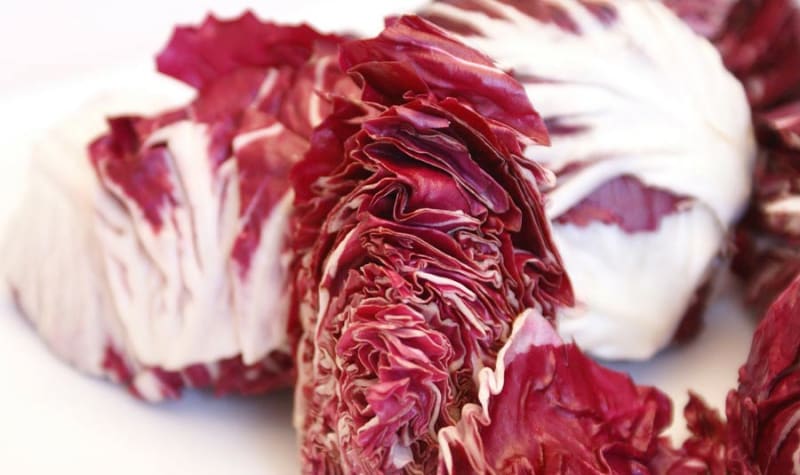 Radicchio