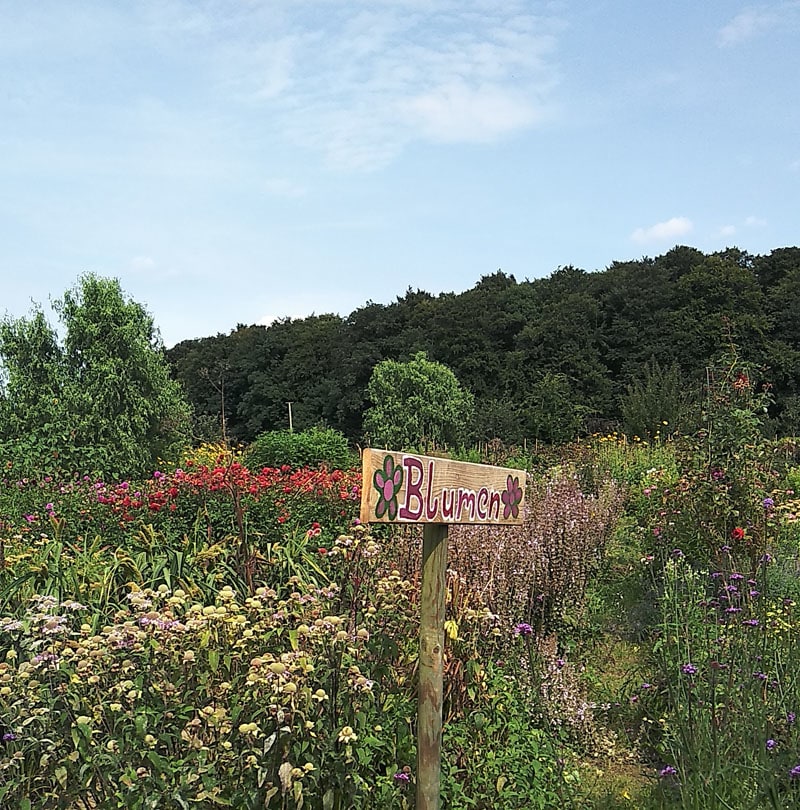 Selbsterntegarten