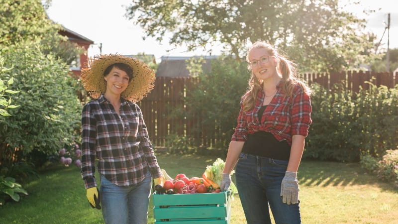 Zwei Frauen eines Bio-Betriebs mit frisch geernteter Gemüsekiste