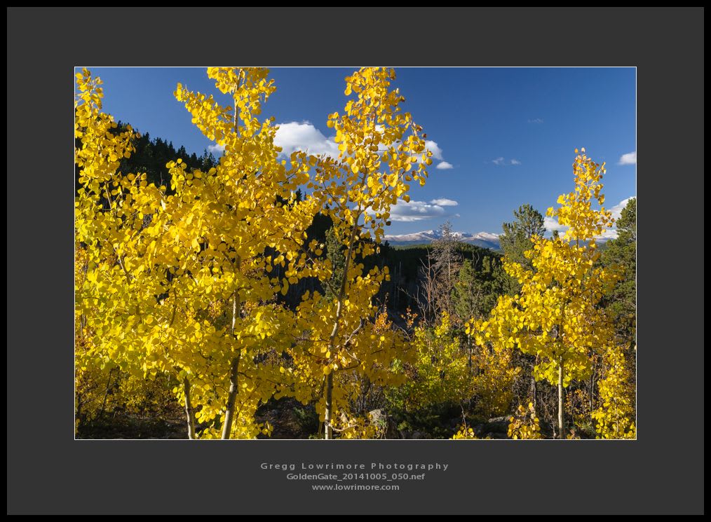 GoldenGate 20141005 050