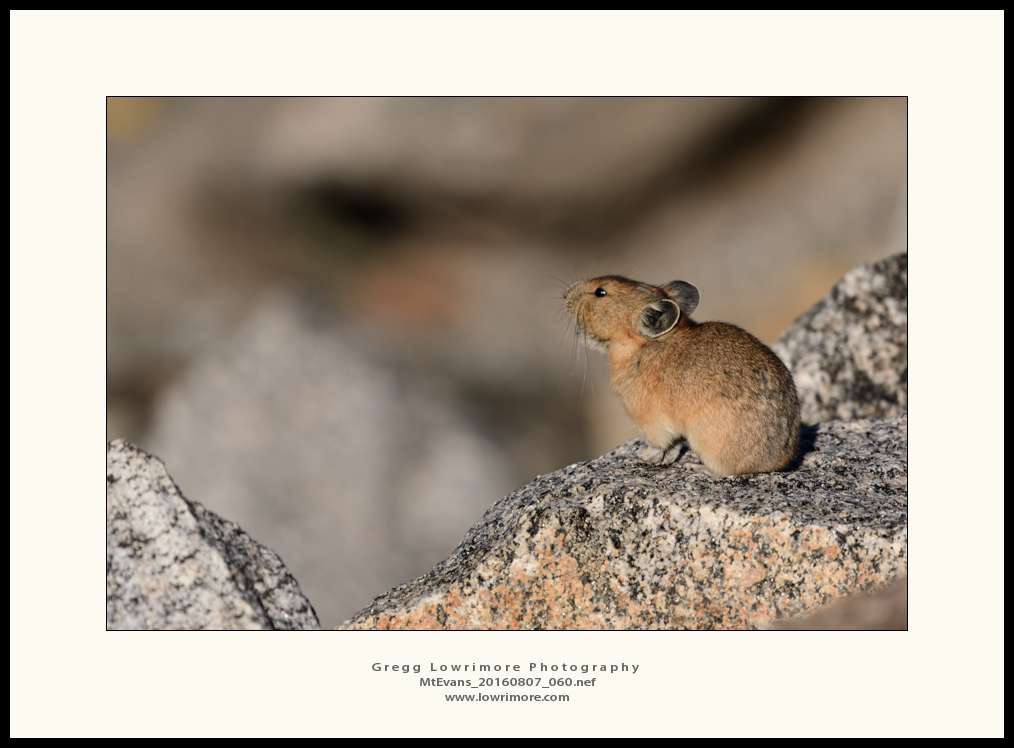 Mt Evans 20160807 060