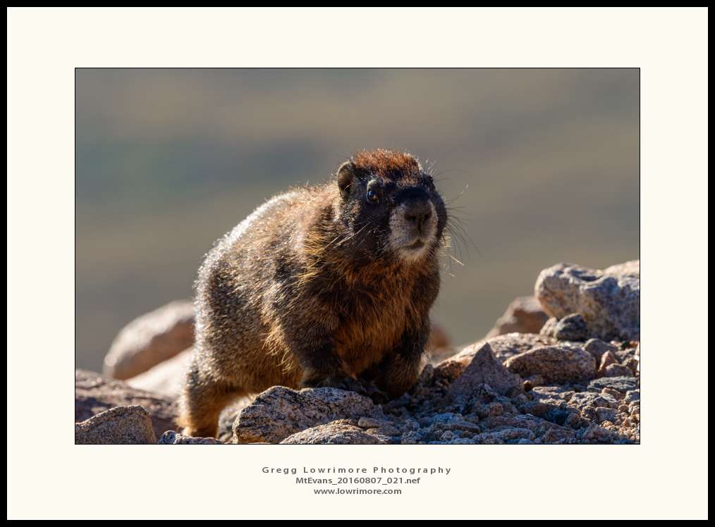 Mt Evans 20160807 021