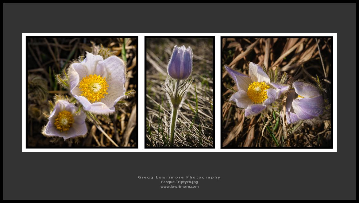 Pasque Triptych
