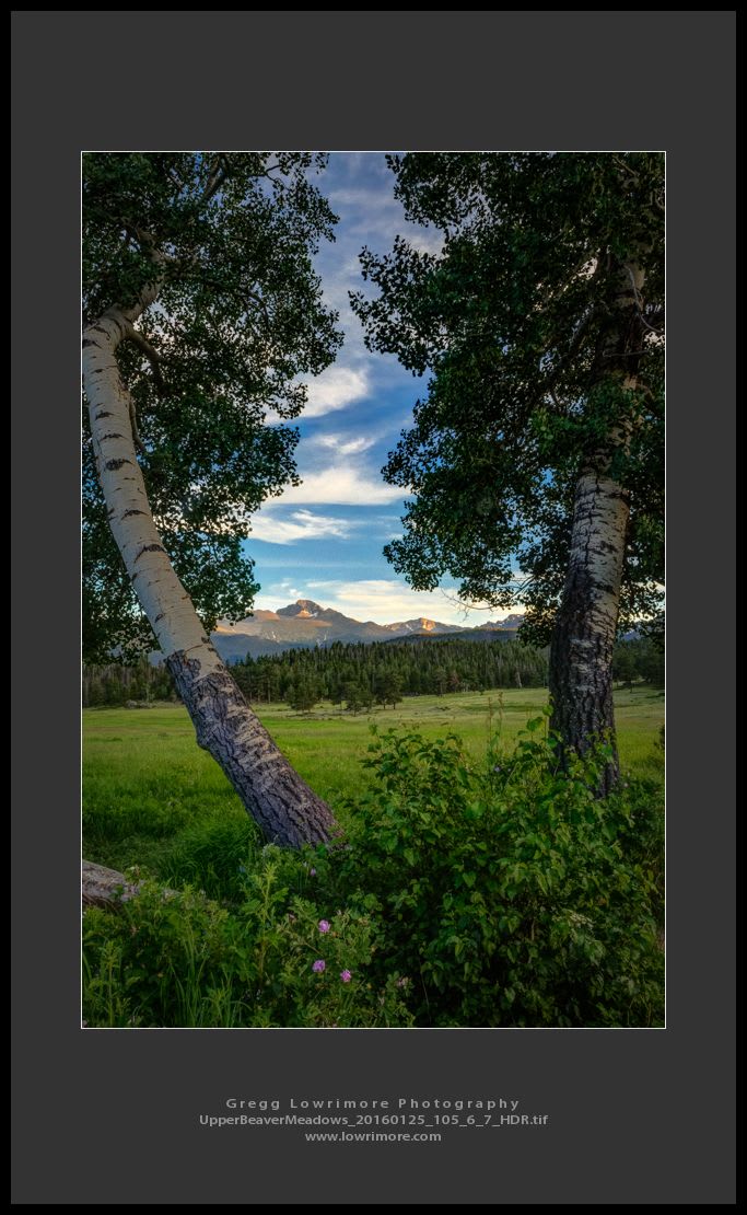 Upper Beaver Meadows 20160125 105_6_7_HDR