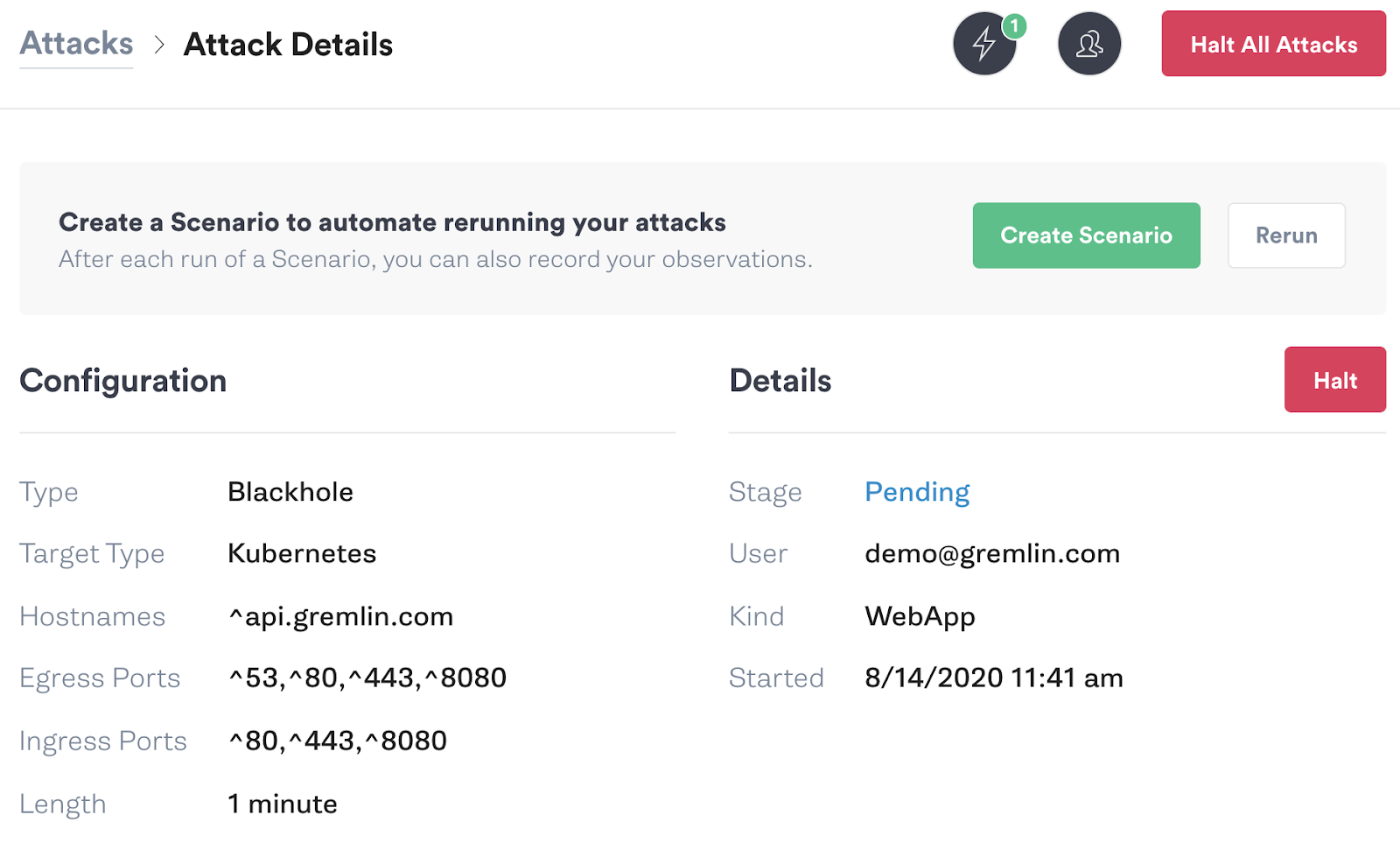 Viewing attack details in Gremlin