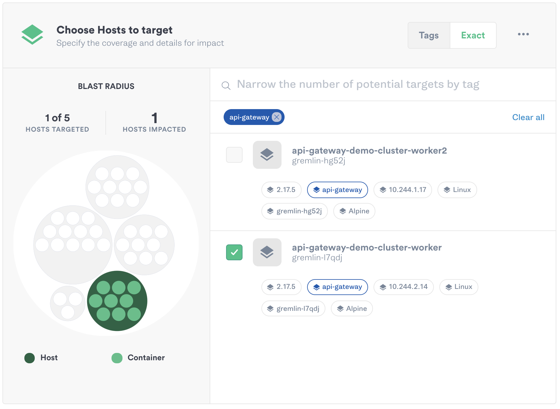 Selecting a single host as the blast radius