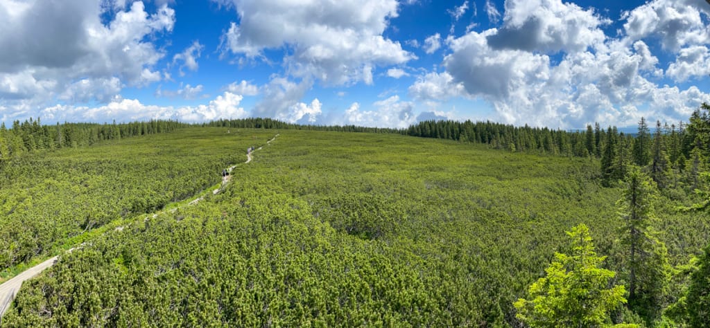Lovrenška jezera
