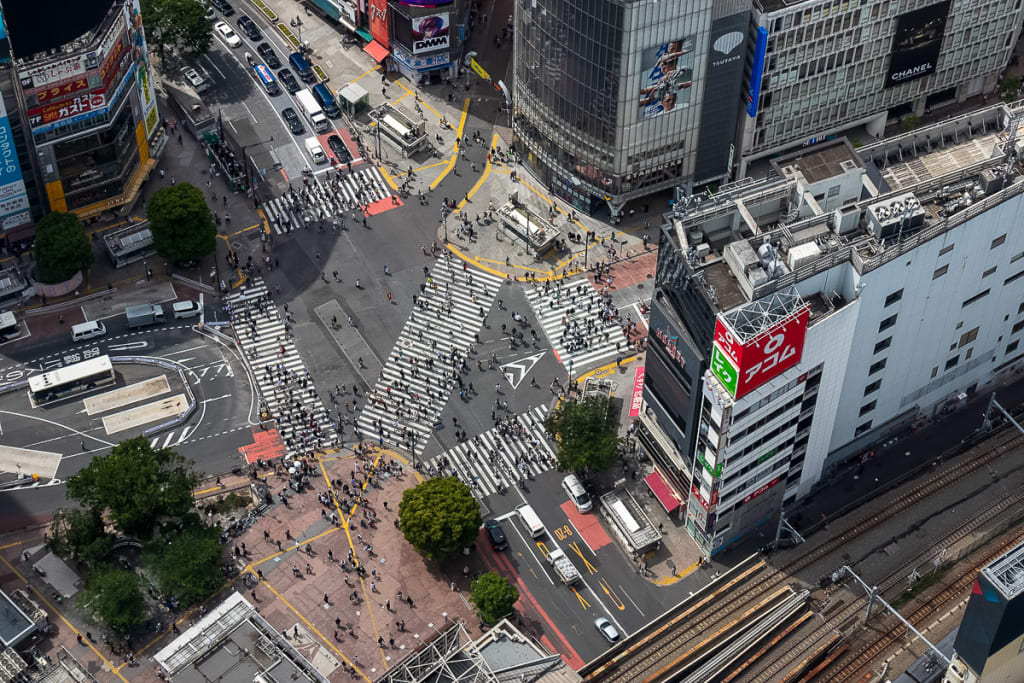Japonska potovanje - Shibuya Scramble Crossing