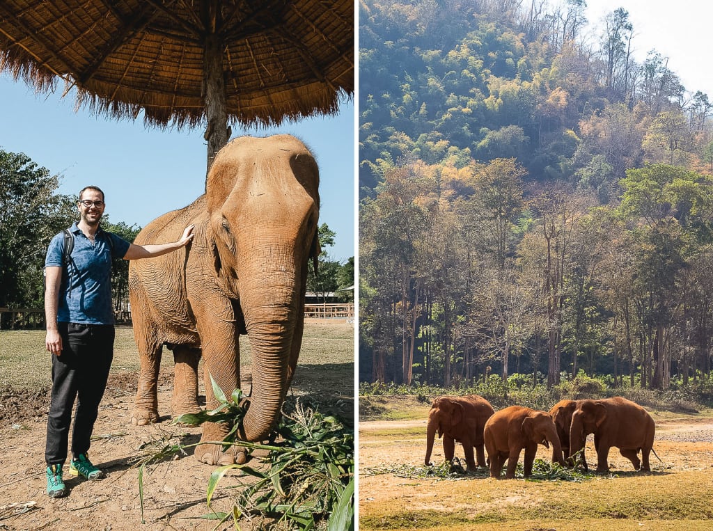 Tajska Elephant Nature Park zavetišče za slone