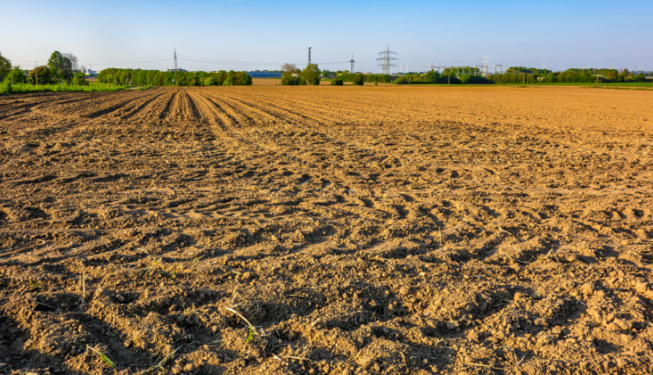 Buying Raw Land for Renewable Energy and Commercial Use in the Philippines: What Investors Should Know