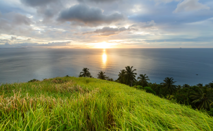 What Can You Do With Raw Land? Commercial and Renewable Opportunities for Landowners in the Philippines