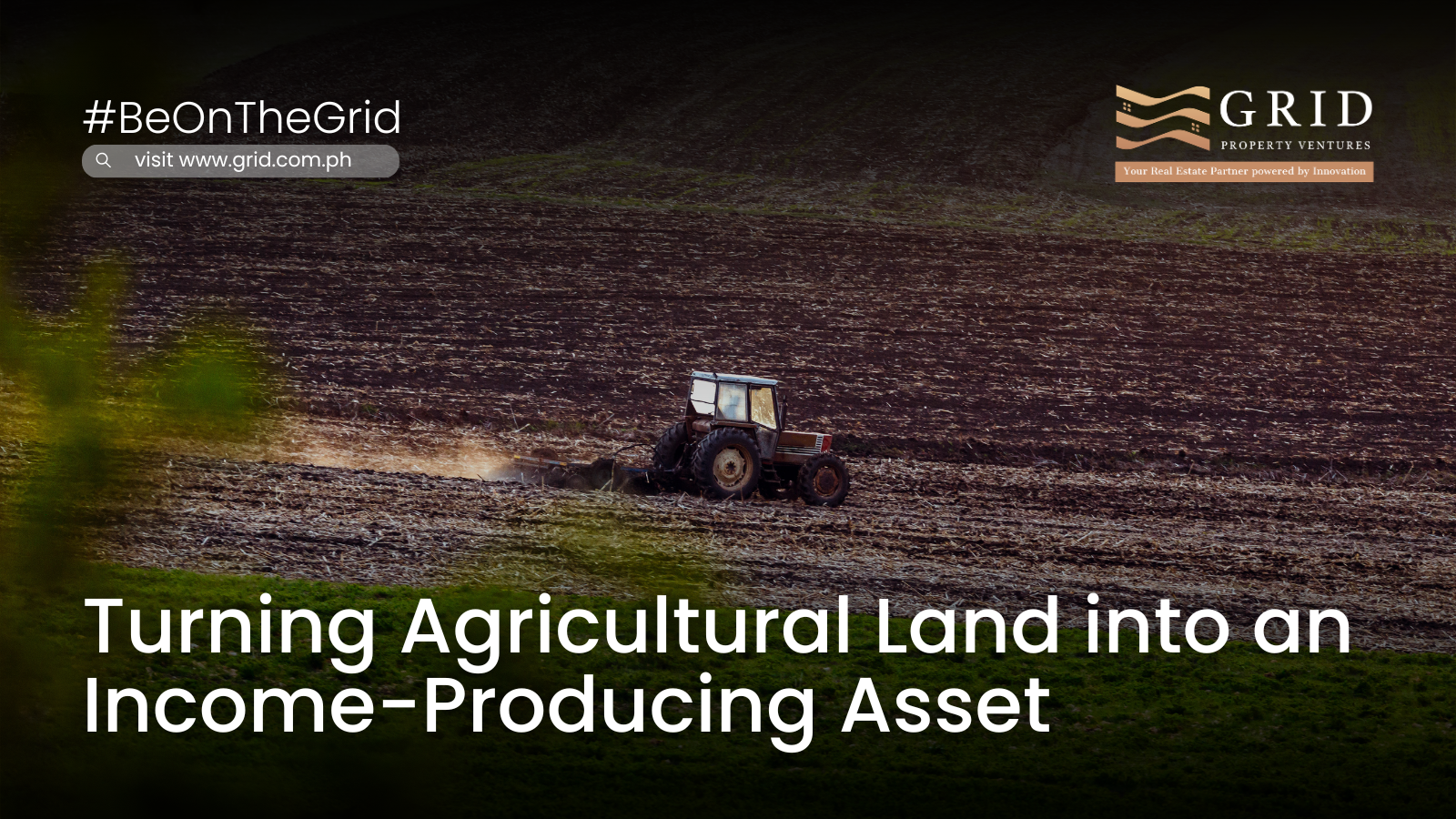 Turning Agricultural Land into an Income-Producing Asset
