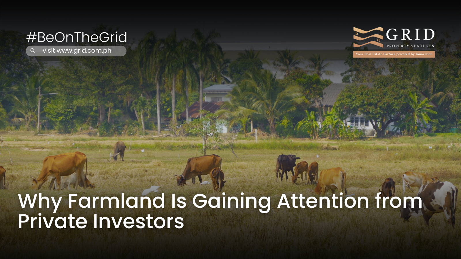 Why Farmland Is Gaining Attention from Private Investors