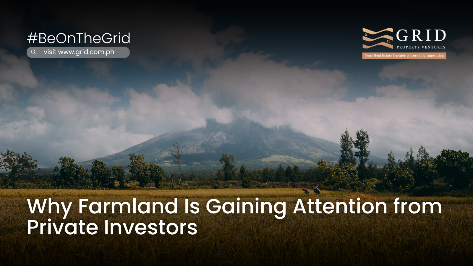 Why Farmland Is Gaining Attention from Private Investors