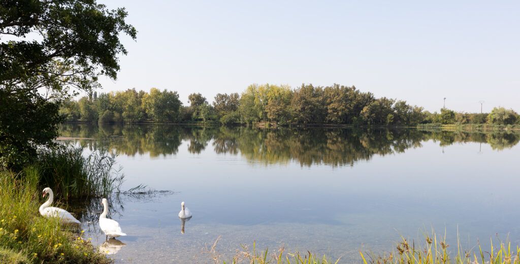 Programme immobilier Hameau Lamartine à Ambarès-et-Lagrave