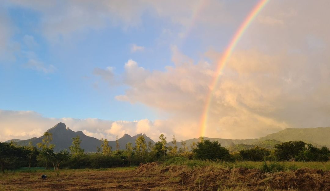 086d1ef0276b305629b5fa9fc4babbe8