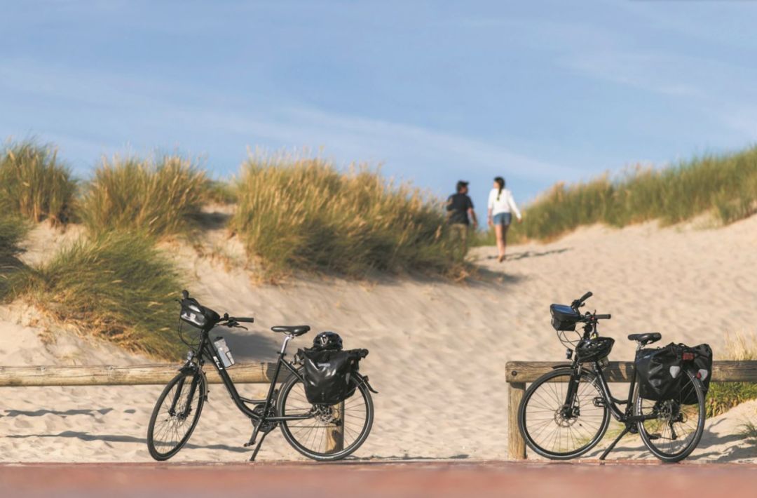 Programme immobilier Les cottages Dunes & Mer à Bray-Dunes