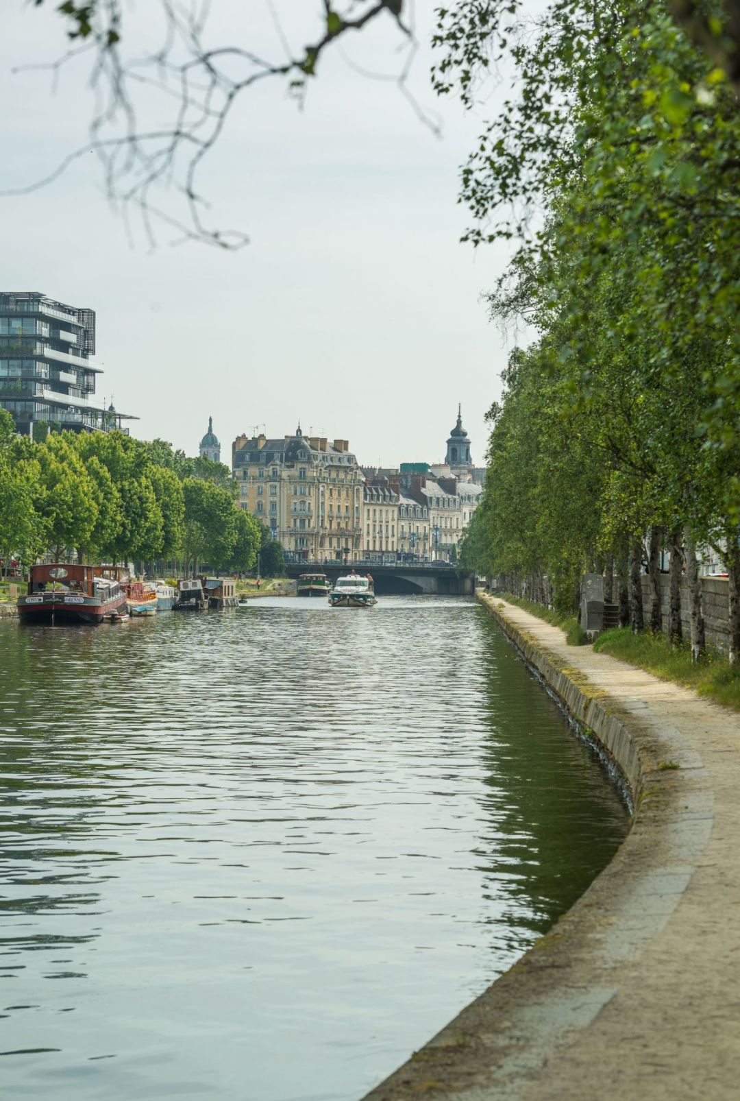 1368ed5af72f98f96c3c419ae7279b1a