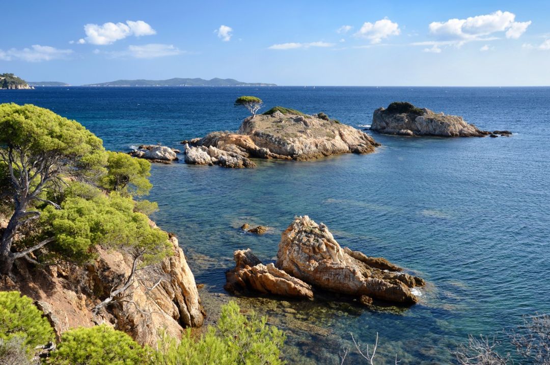 Programme immobilier Le Domaine des Pins à Bormes-les-Mimosas