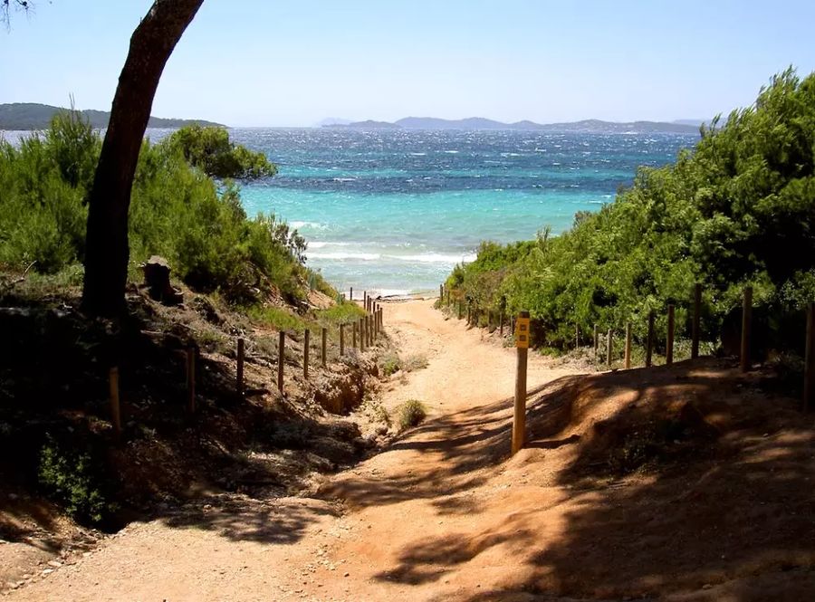 1dca3fb53c32bda67e89f29071f6a488