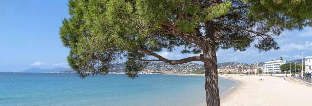 les terrasses d'eden