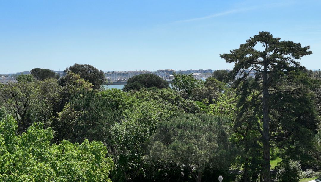 Programme immobilier ACACIA à La Rochelle