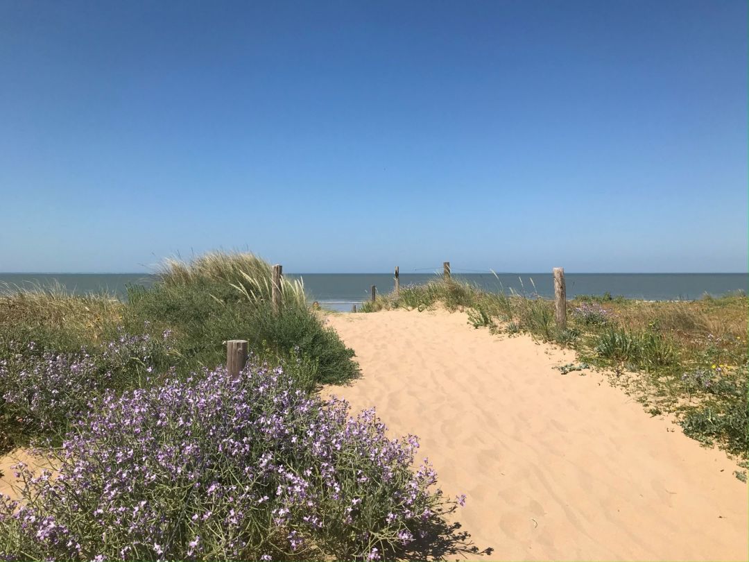 2bb5edb43c137b11e662b46dce043ac3