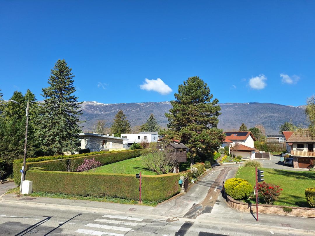 31ca518178400a1d1597ae768842d6b7