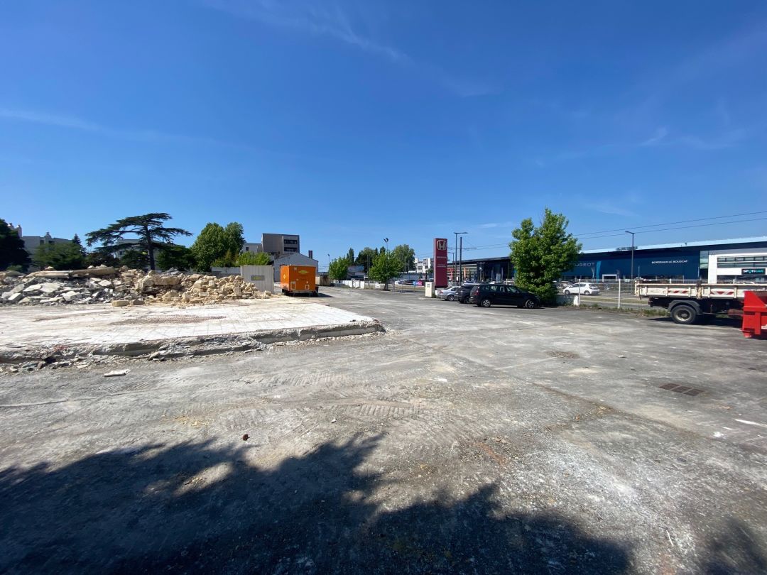 Ceïba: Fin de la démolition