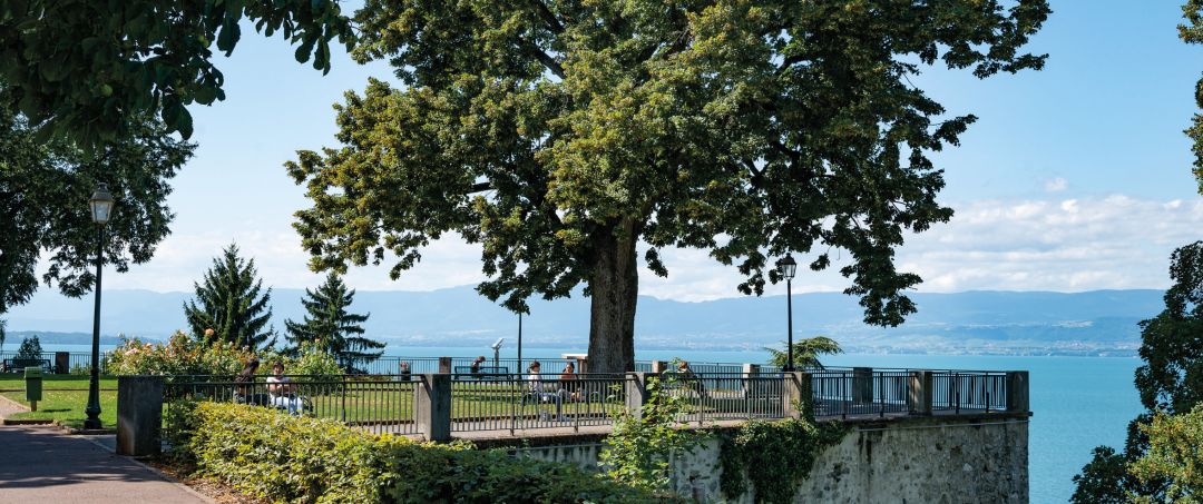 Programme immobilier Jardins sur le Lac à Thonon-les-Bains