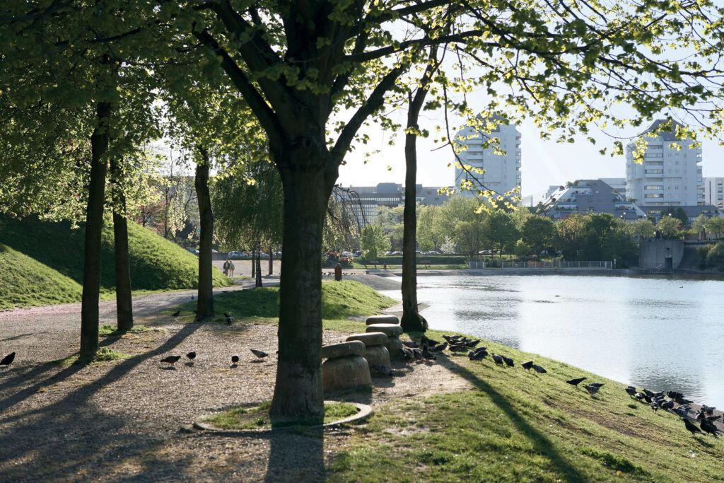 363fe4ea8165f867fc4ef3fd4dc5b2a3